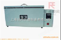 型上海全自动恒温水箱