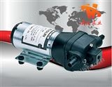 电动隔膜泵|DP型微型隔膜泵
