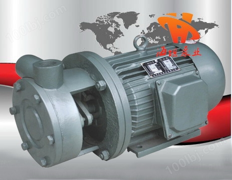 不锈钢旋涡泵|1W系列直连式单级旋涡泵