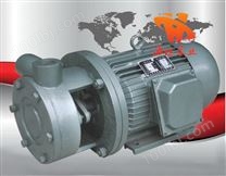 不锈钢旋涡泵|1W系列直连式单级旋涡泵
