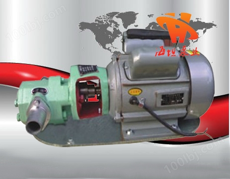 不锈钢齿轮泵|WCB型微型齿轮油泵