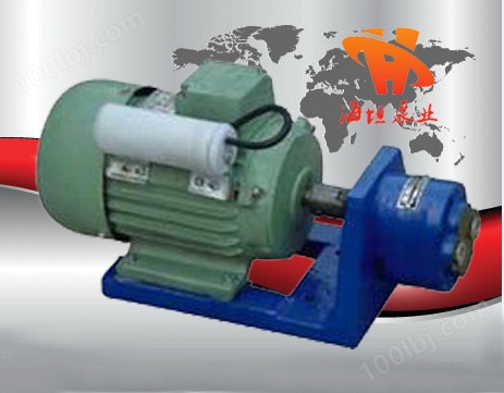 齿轮油泵|S型微型齿轮输油泵
