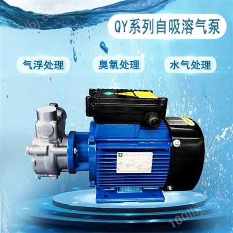 QY不锈钢自吸泵气浮处理设备溶气泵